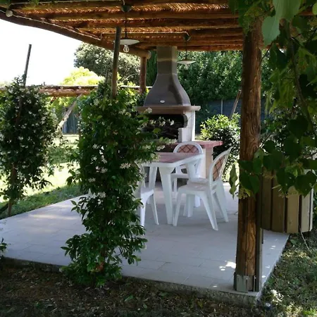 Sonnenblume Apartment Terranuova Bracciolini